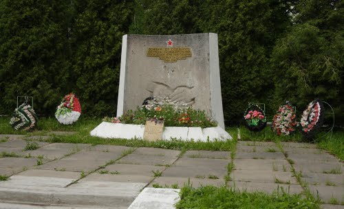 Mass Grave Soviet Soldiers Dachnoye #1