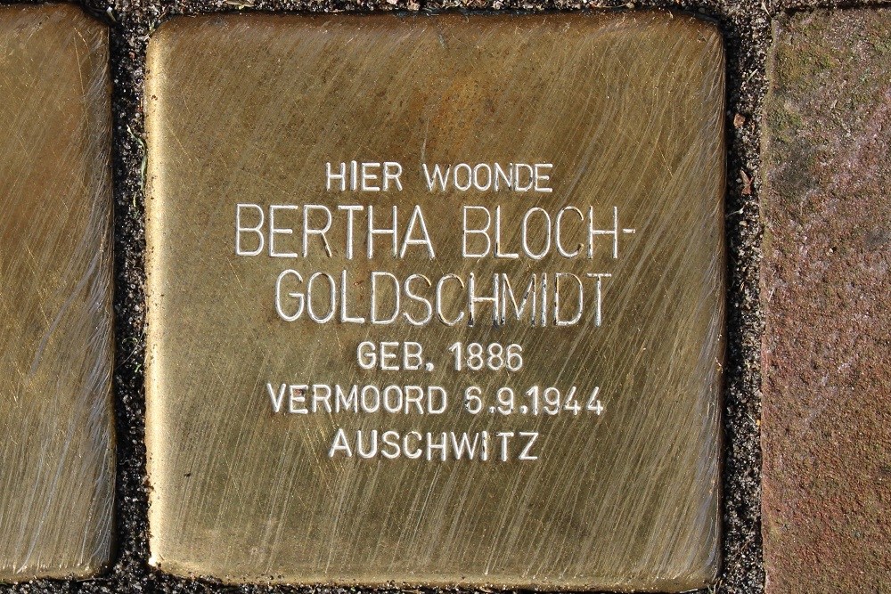 Stolpersteine De Bossche Pad 80 #3