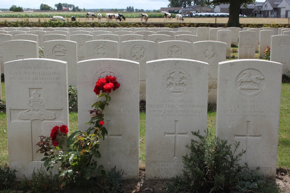 Commonwealth War Cemetery Vlamertinghe New #5