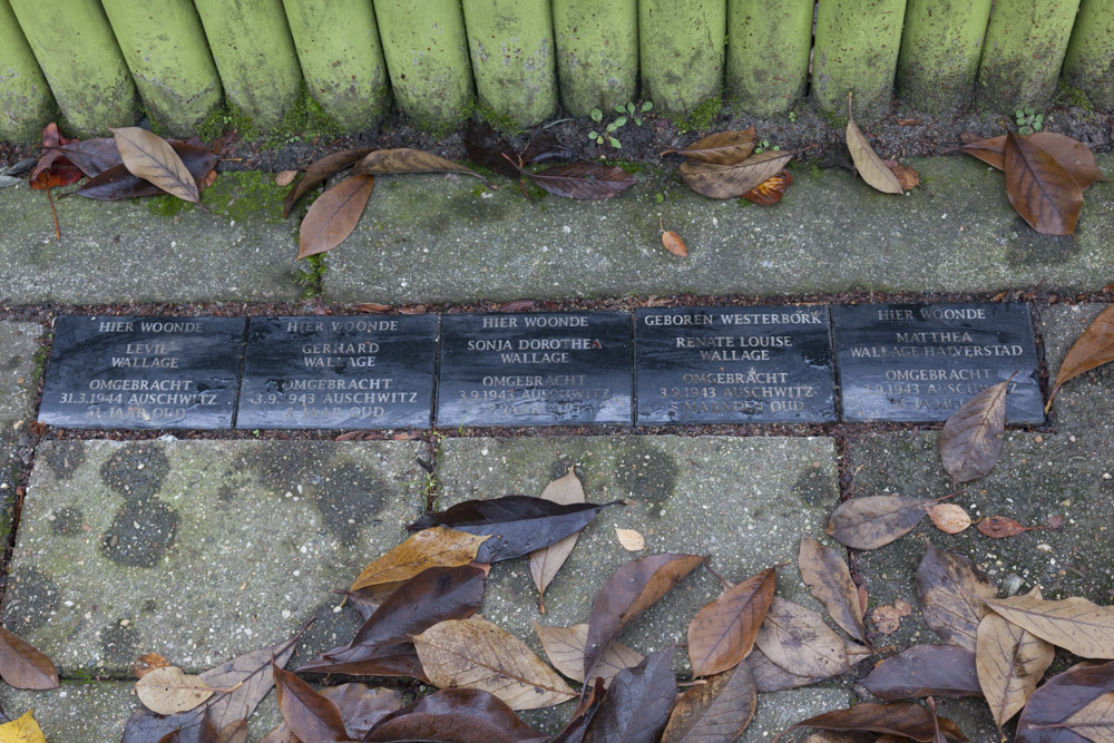 Memorial Stones Abrikozenweg 21