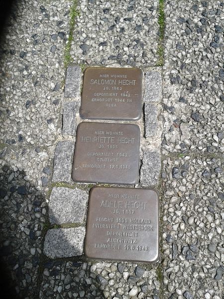 Stumbling Stones Tigg 9 #1