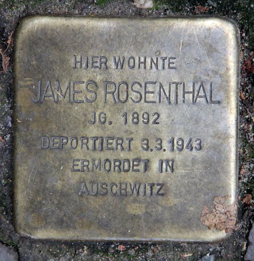 Stolpersteine Krefelder Straße 20 #3