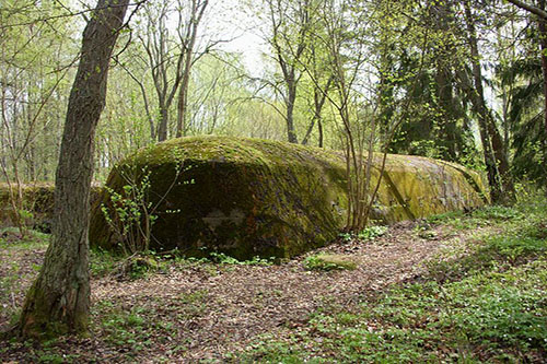 Skavlinie - Fort Sjotorp