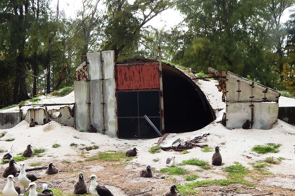 Underground Ammunition Bunker