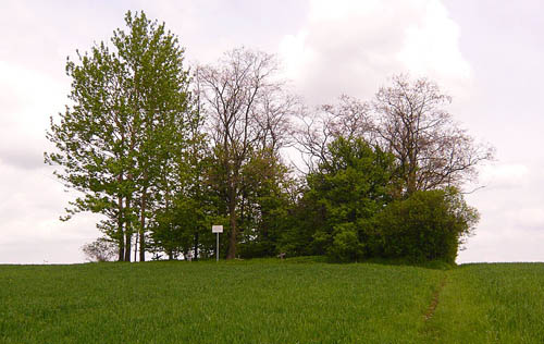 Zaraszw-Kolonia Austrian-Russian War Cemetery