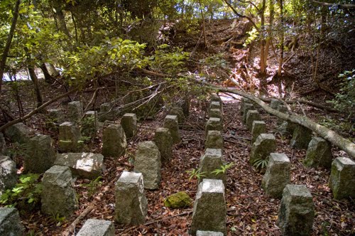 Japanese Tank Barrier #2