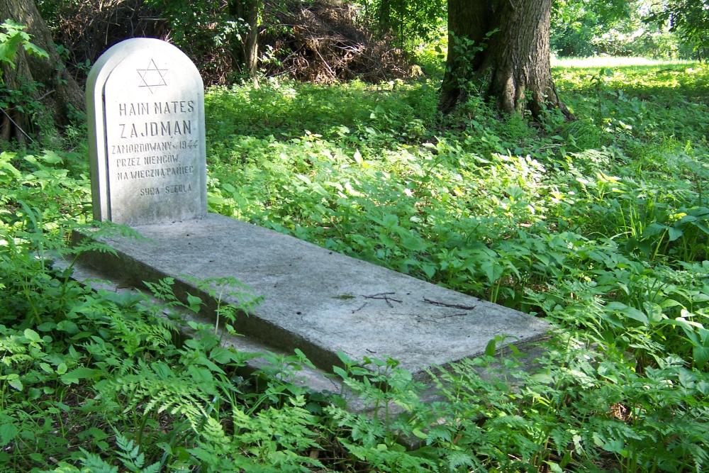 Jewish Cemetery Miedzyrzec #4