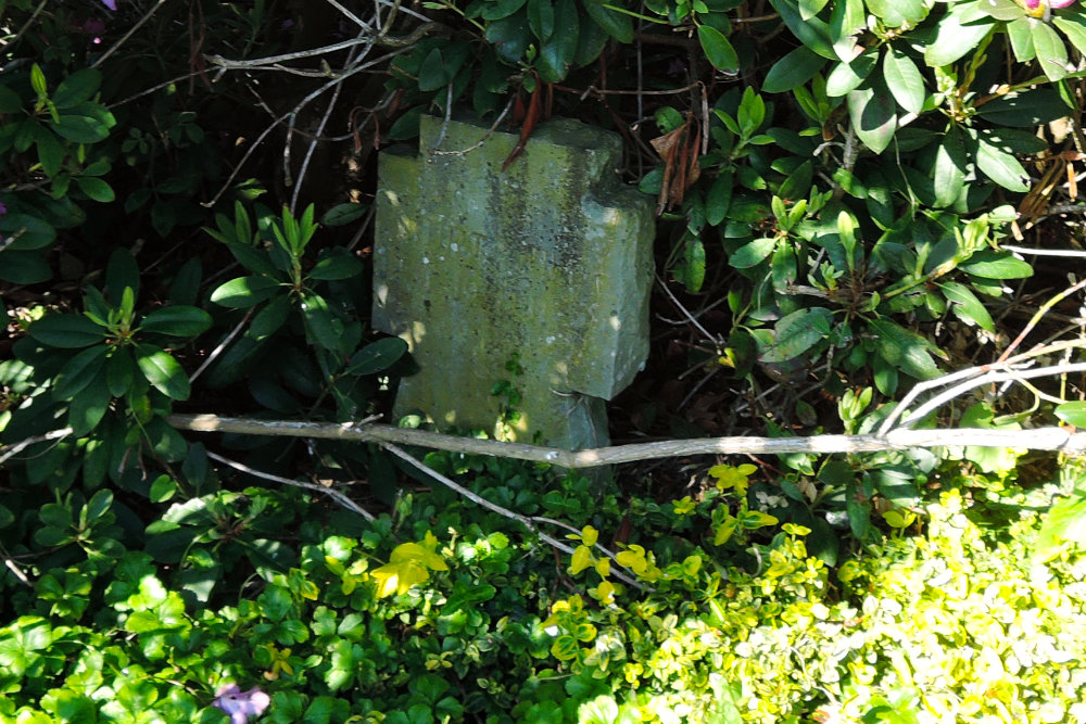 Monument en Oorlogsgraven Boisheim #5