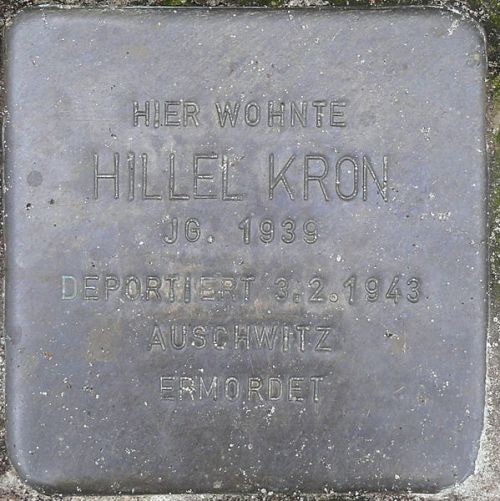 Stolpersteine Kronprinzendamm 11 #2