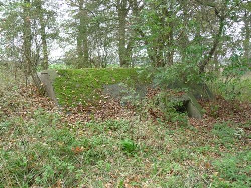 Group Shelter Type 1918/I Fort Vechten #2