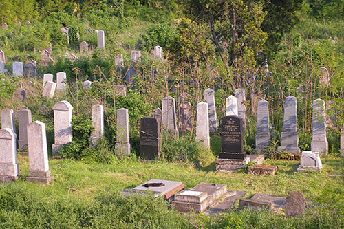 Jewish Cemetery (Mass Grave Victims Holocaust) #1