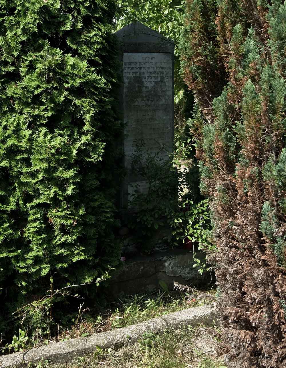 New Jewish Cemetery Skierniewice #3