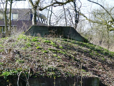 Group Shelter Type P Griftenstein #1