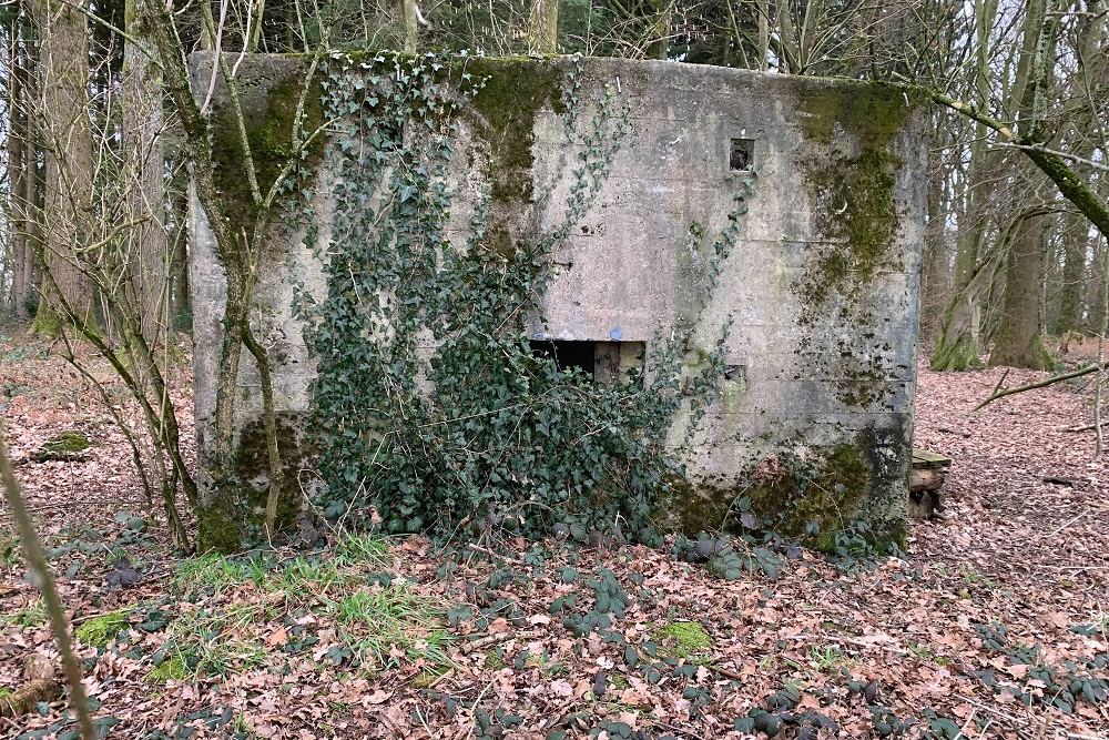 Bunker C - Position Avance Grunhaut
