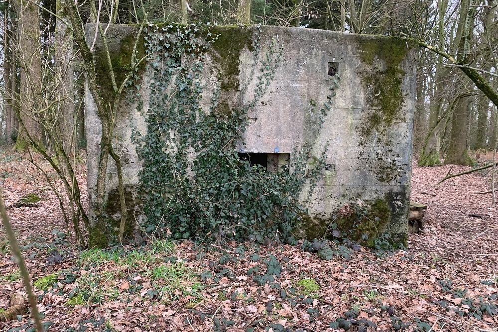 Bunker C - Position Avance Grunhaut #1