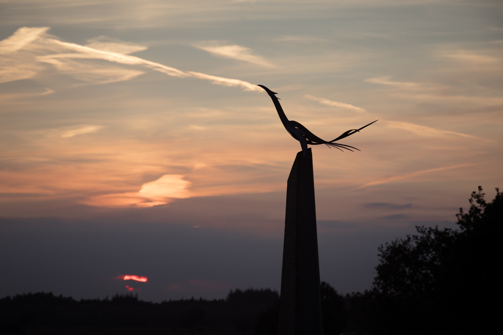 Airborne Monument Ginkelse Heide #5