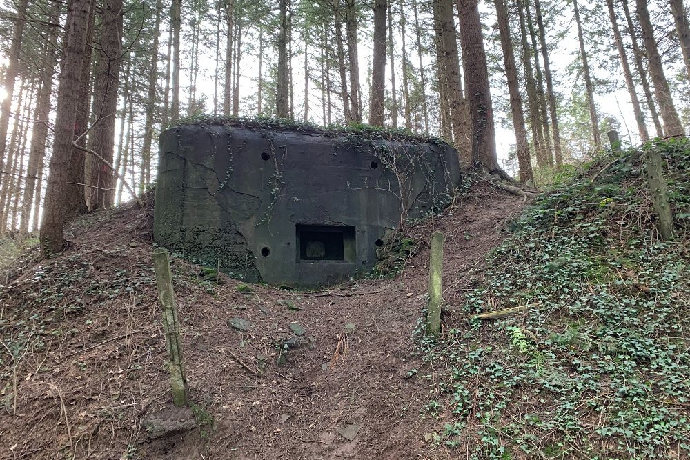Bunker BV 9 Jevoumont #1