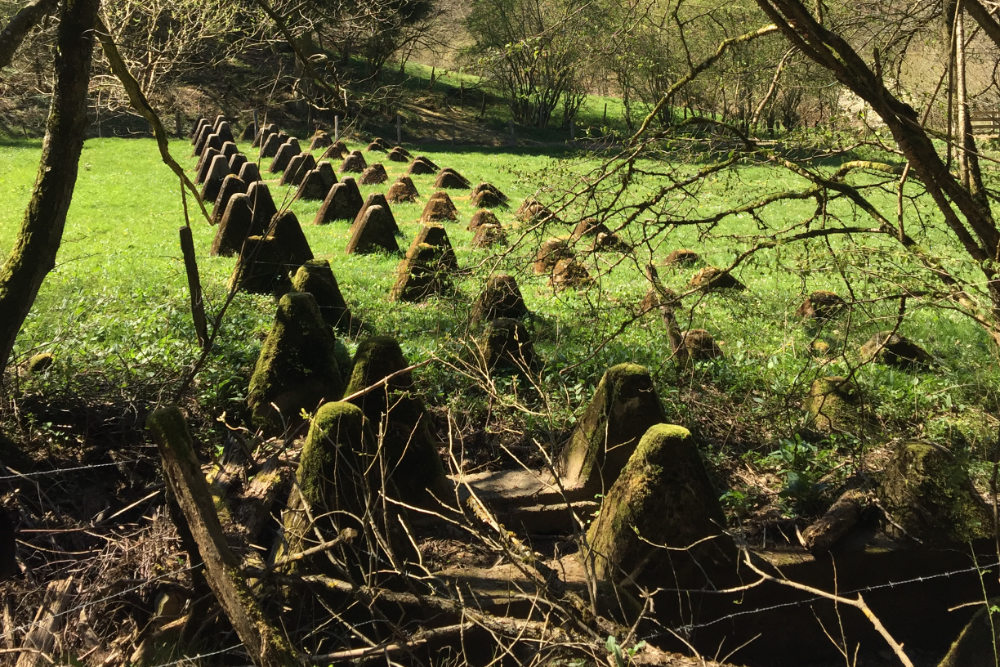 Westwall - Tank Barrier Schwalenbachtal #2