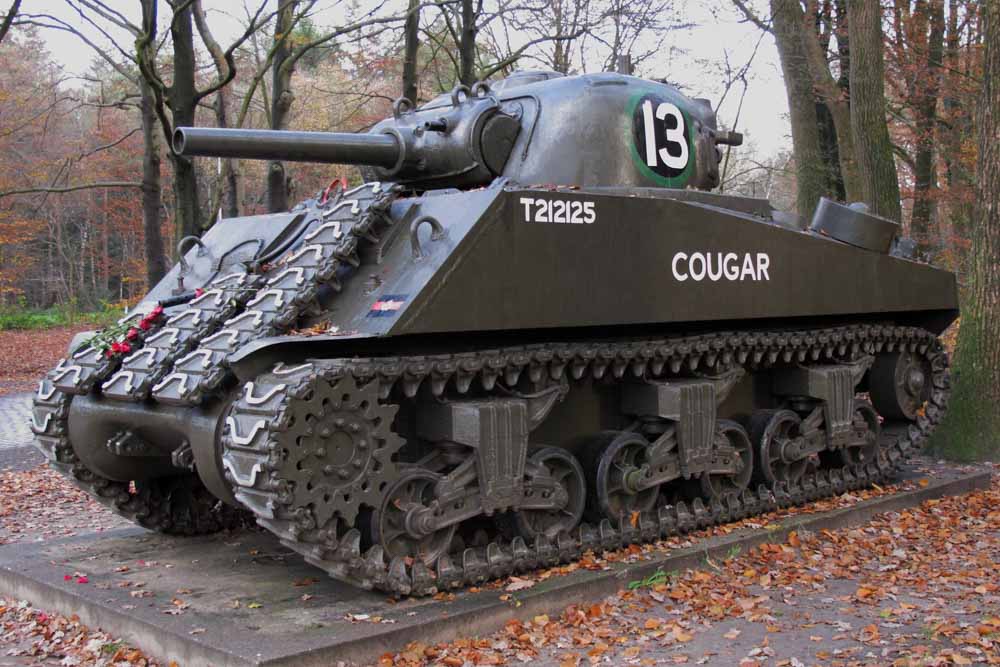 Escorts Sherman Tx