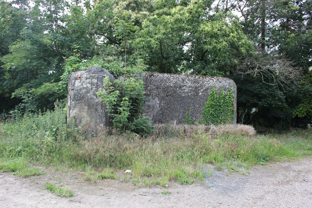 Bunker Canal Albert Eigenbilzen #1