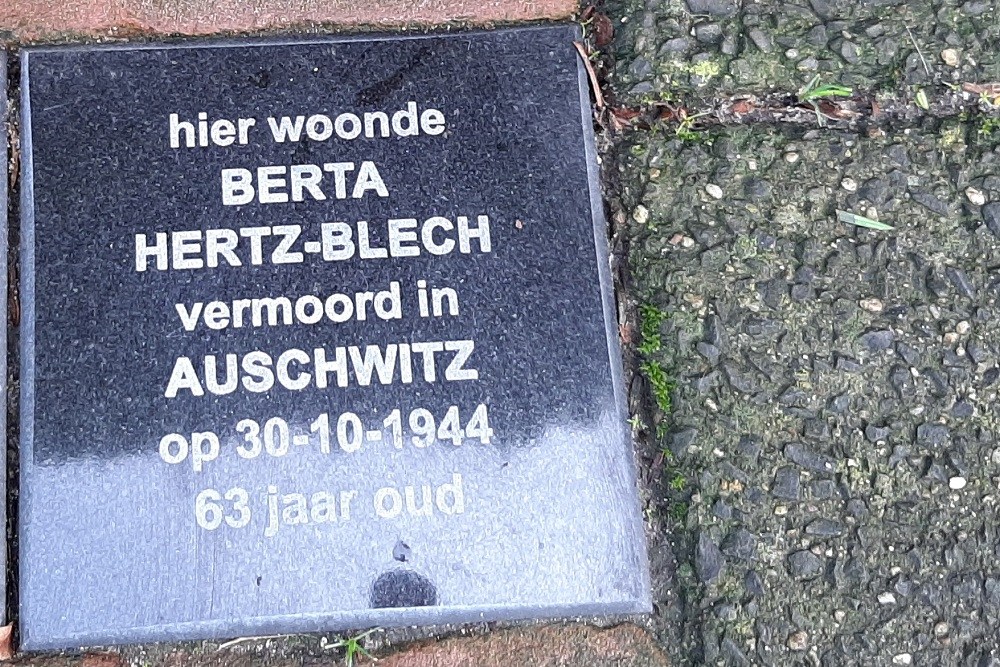 Memorial Stones Celsiusstraat 22 #3
