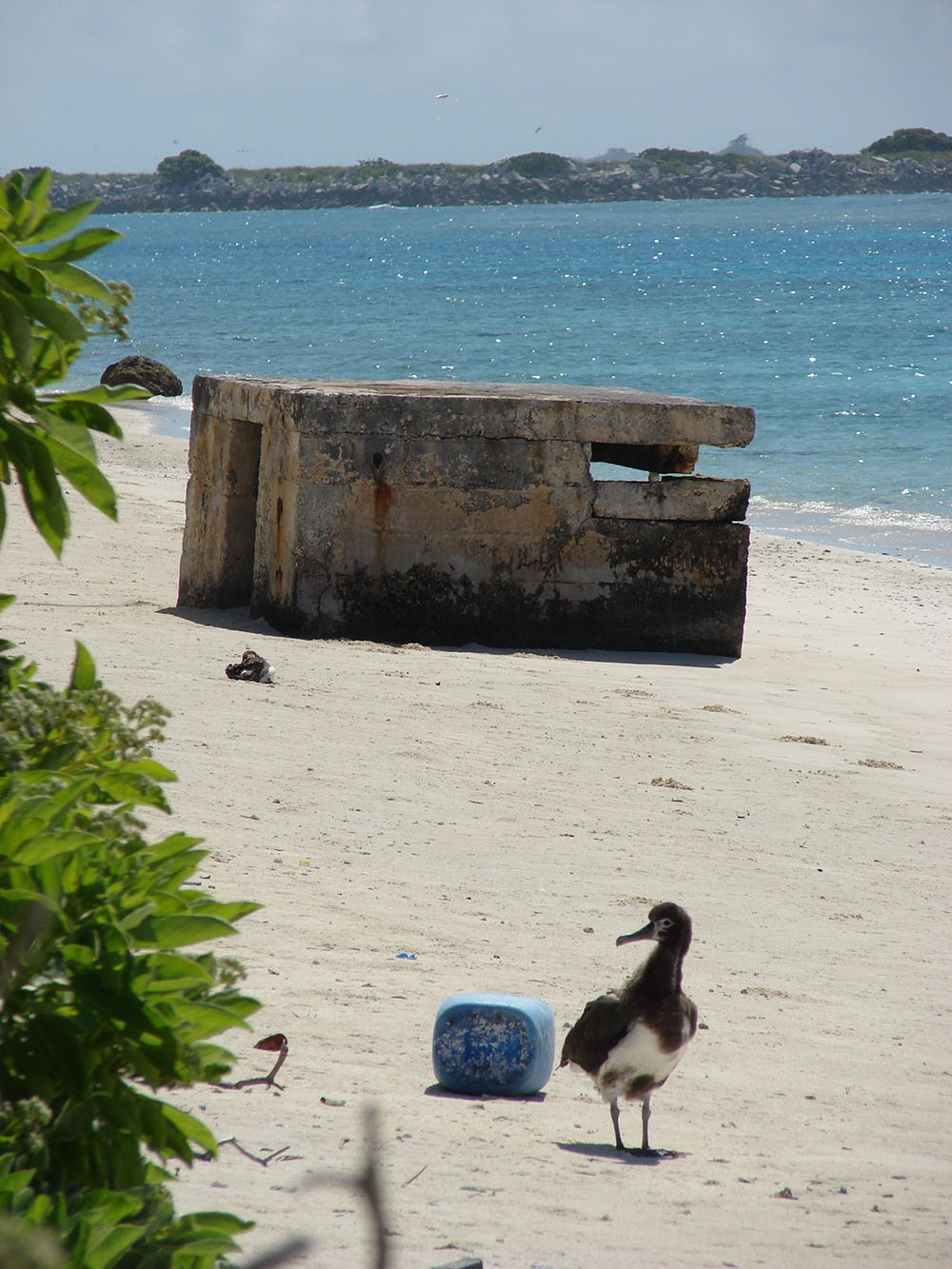 Bunker Midway