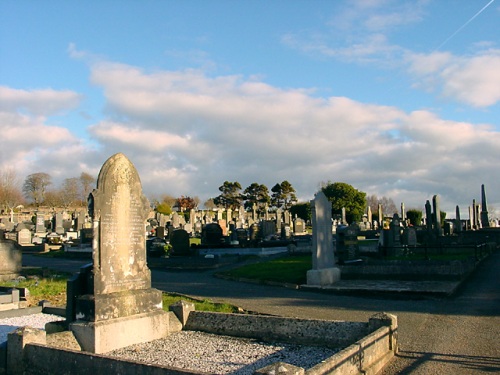 Oorlogsgraven van het Gemenebest Cookstown New Cemetery #1