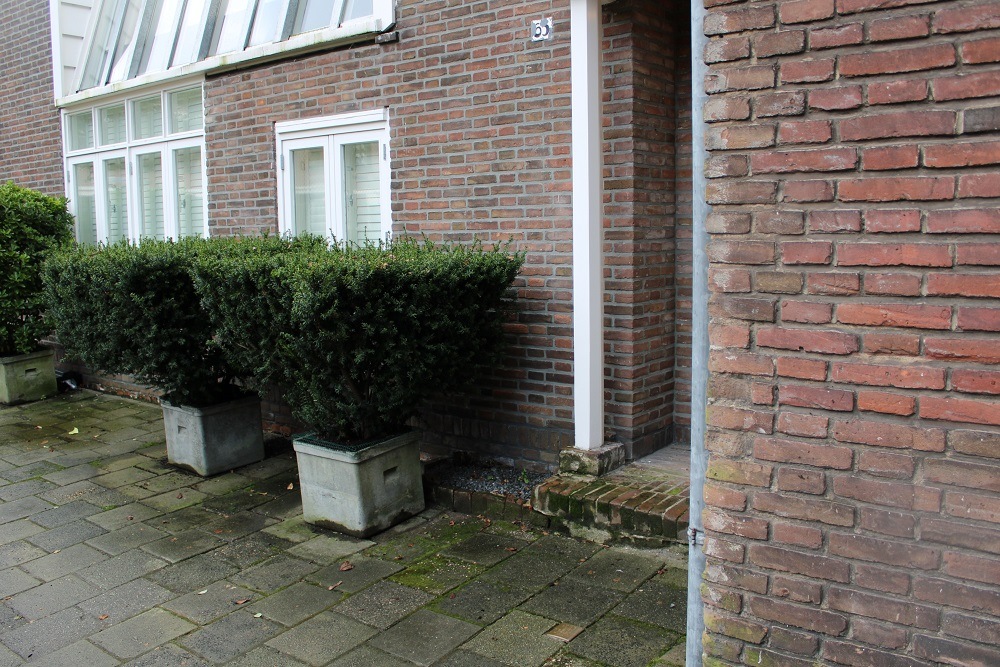 Stumbling Stone Jacob Obrechtstraat 65 #2