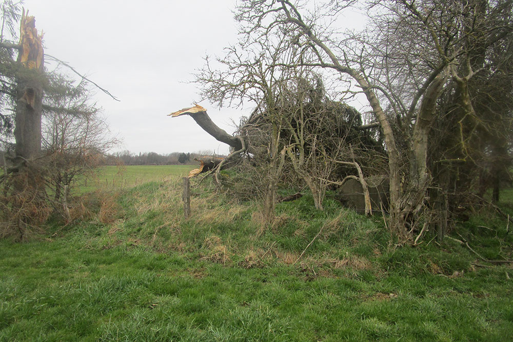 Westwall - Restanten Bunkers #2