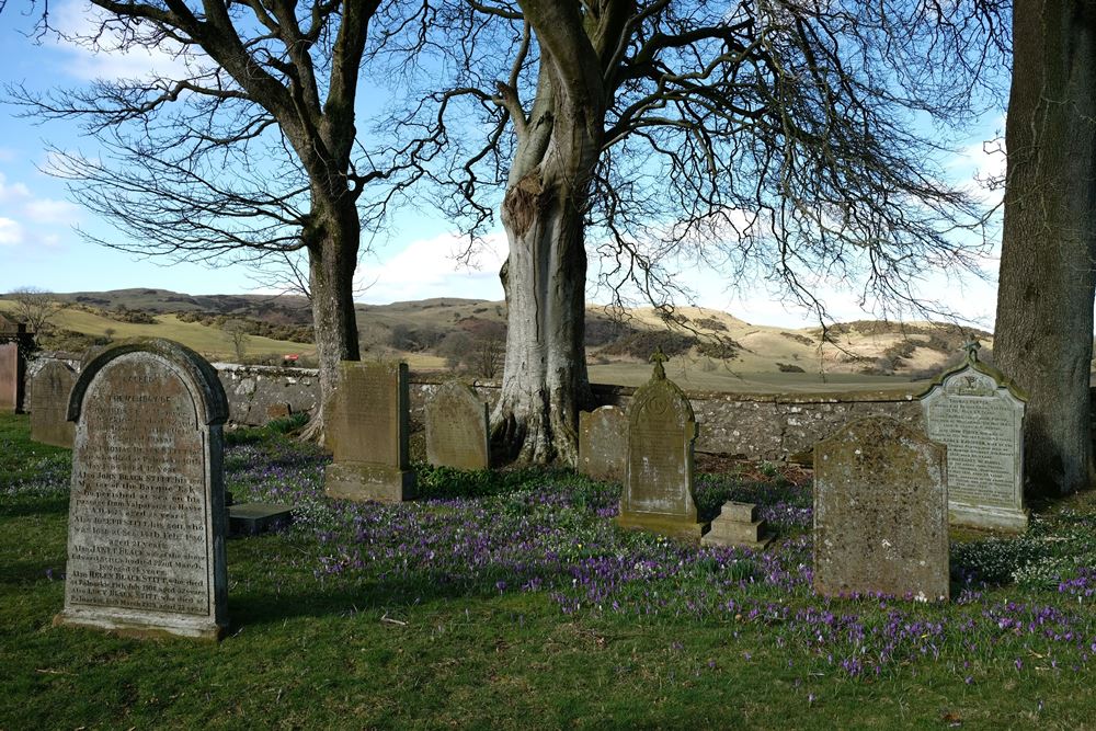 Oorlogsgraf van het Gemenebest Buittle Cemetery #1