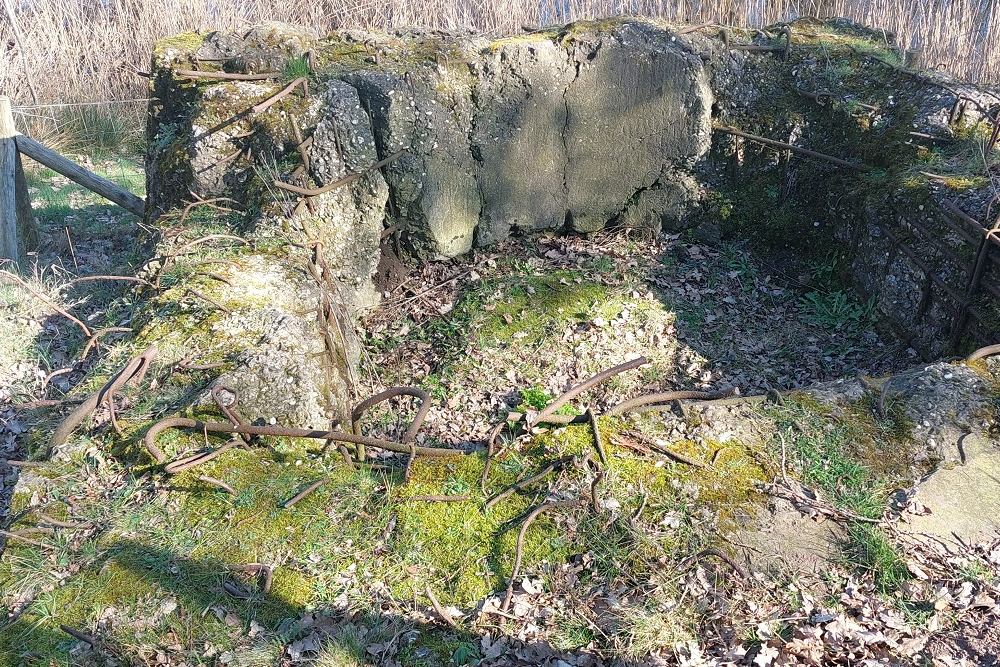 Grebbe Line - Remains G Casemate G93 #2