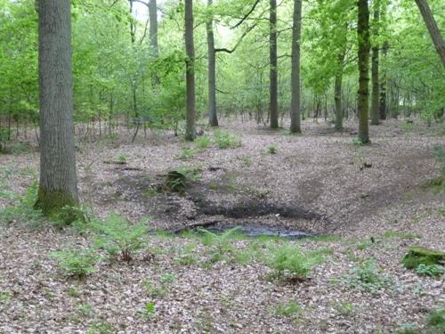 Bomb-crater Oud Groevenbeek #1