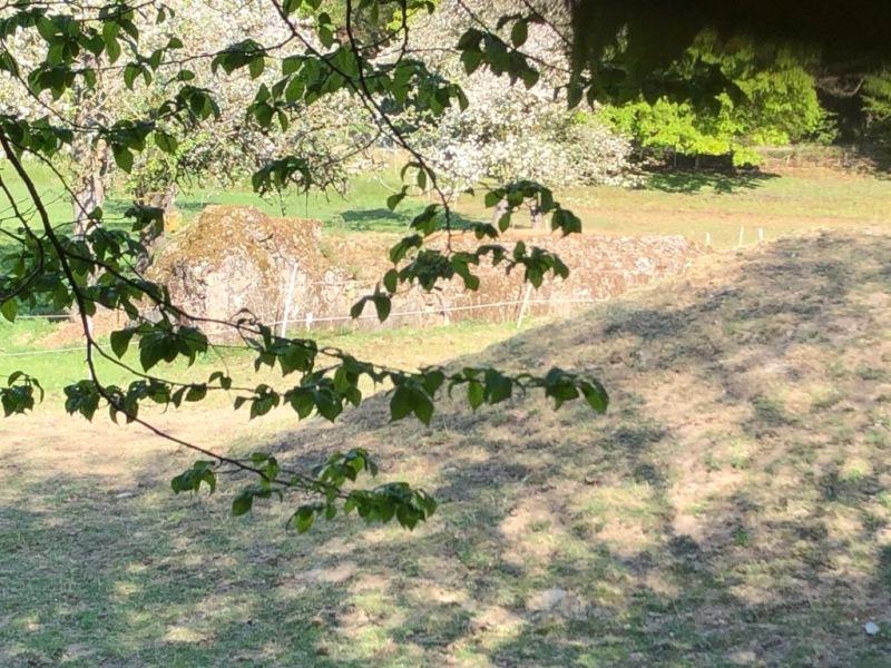 Westwall Bunker Remains #4