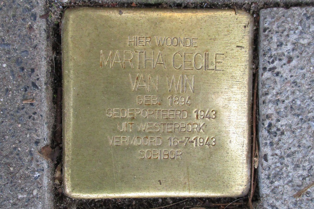 Stolperstein Bergweg 203b #1