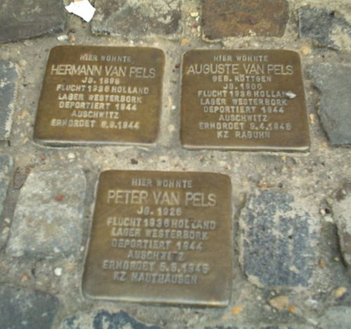 Stolpersteine Martinistrae 67a #1