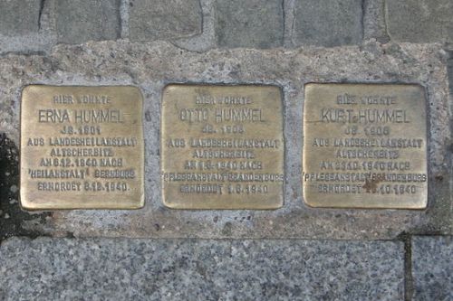 Stolpersteine Kleine Ulrichstraße 8