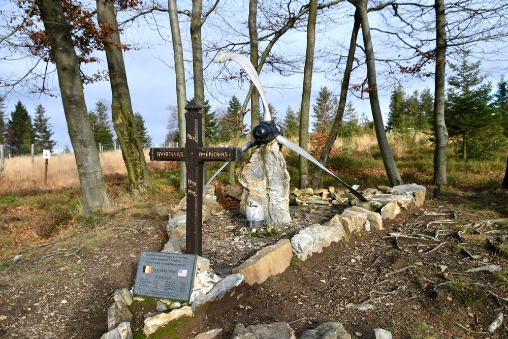 Monument Amerikaanse Piloten #1