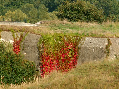 Fortress Osowiec - Fort II (Zarzeczny) #2