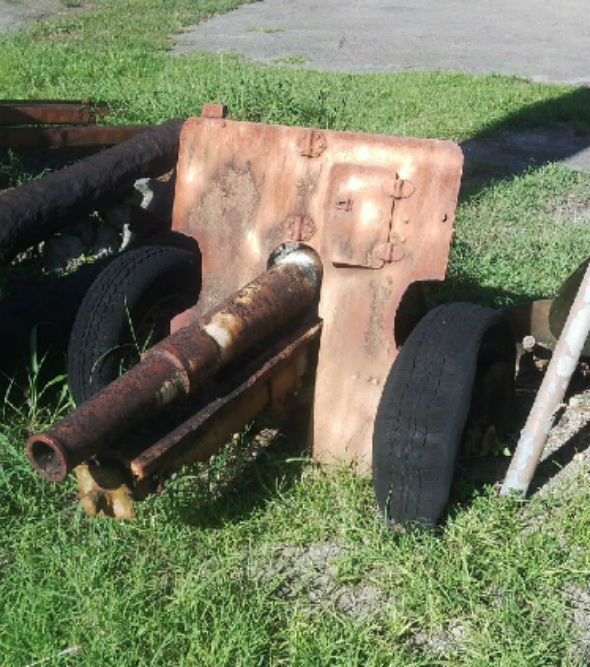 Guam Cannon Collection #4