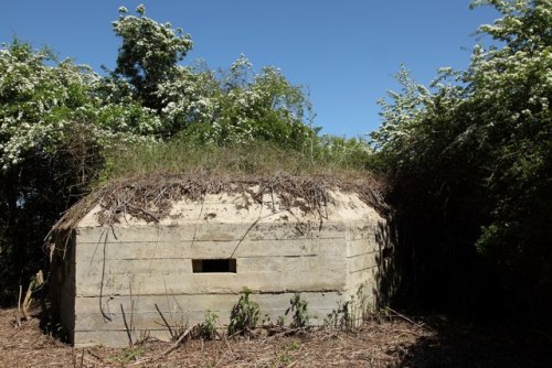 Pillbox FW3/24 Bowerhill #1