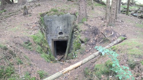 Maginotlinie - Blockhaus Erbsenthal 2 #2