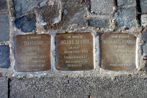 Stumbling Stones Siegfried-Leopold-Straße 50 #1
