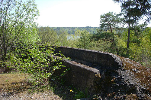 Skavlinie - Fort Sjotorp #4