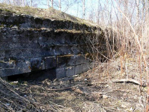 German Pillbox Gory