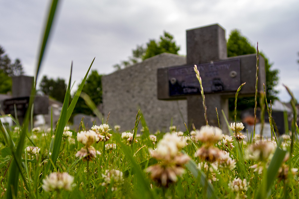 Monument Begraafplaats Dalhem #3