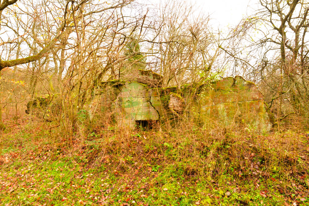 Westwall Bunker Nierfeld #1