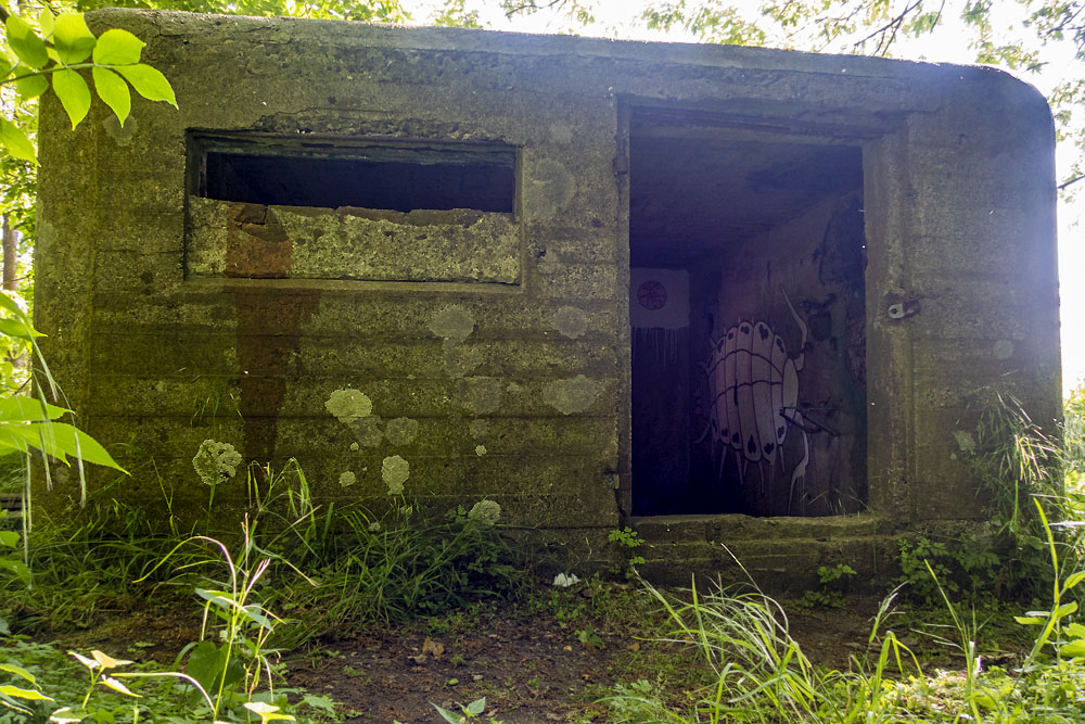 Bunker K-16 Border Defence Zuid-Willemsvaart #2