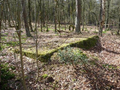 Group Shelter Type 1918/I De Fransche Kamp #1