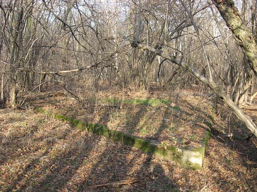 Remains German Observation Post 