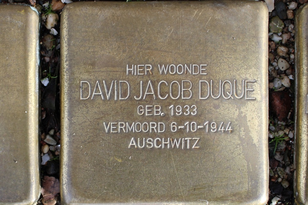 Stolpersteine Jonas Danil Meijerplein 11 #3